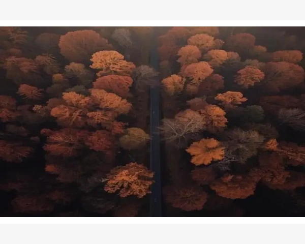 MT4短线行情走势分析实用操作技巧_MT4成交量数值偏大或偏小的具体原因