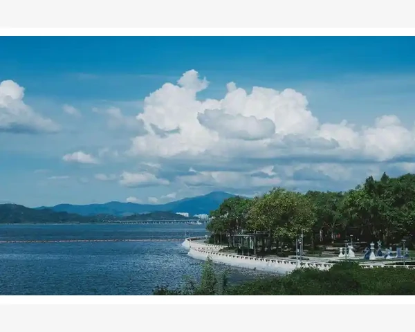 B2B软件停服通知期行业惯例大揭秘_客户维护与长期运营技巧