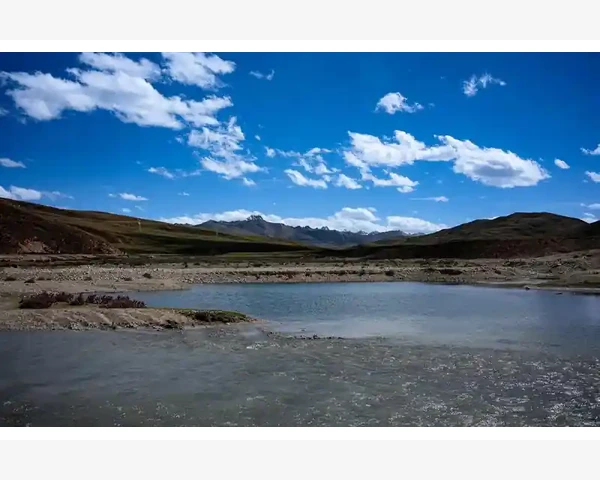 电子采购系统供应商考评与竞价谈判功能实战_掌握摊铺操作的核心步骤