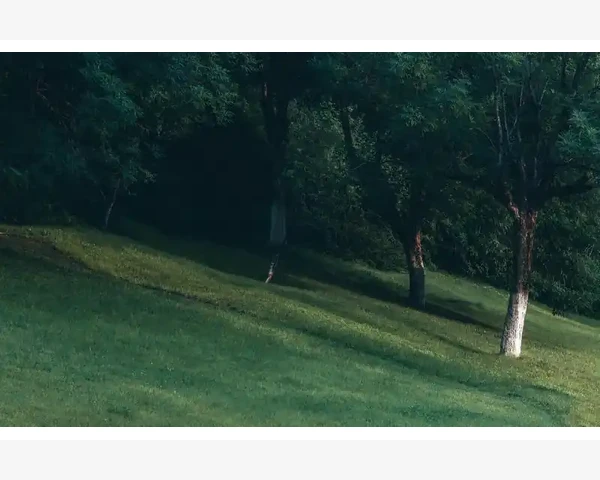 机票B2B分销平台如何重塑航旅生态_售后服务与长期合作策略