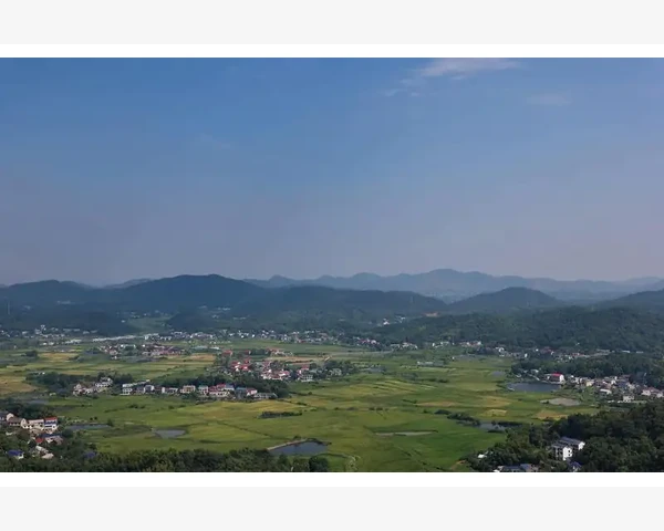 B2B平台DJ实战玩法与运营技巧_新兴B2B平台的崛起与选择