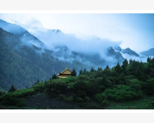 活性炭B2B平台选型实战分享_德国主流B2B网站的平台特色