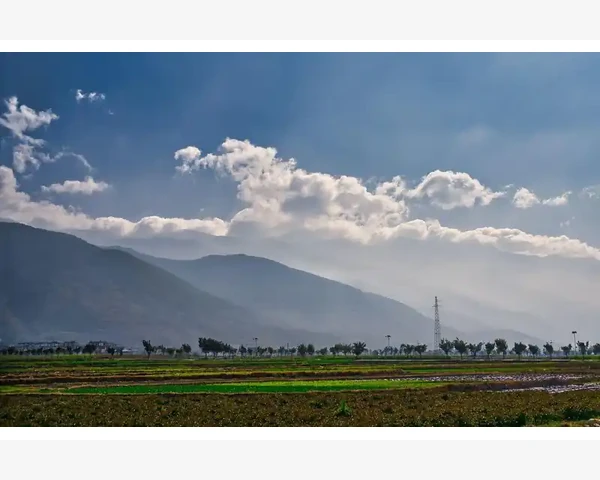 辨别B2B网站真伪是关键技能_辨别B2B网站真伪是关键技能