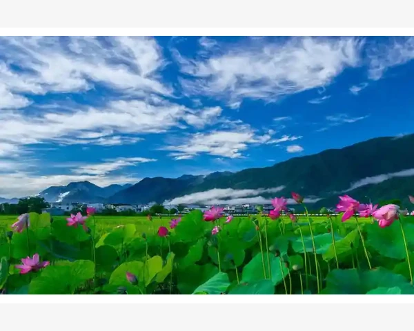 B2B与S2B模式融合商业新路径_B2B与S2B模式融合商业新路径