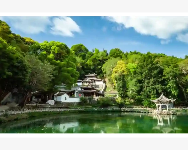 MT4挂单触发后原订单去向与持仓转换机制_服务器切换与桥接工具的影响