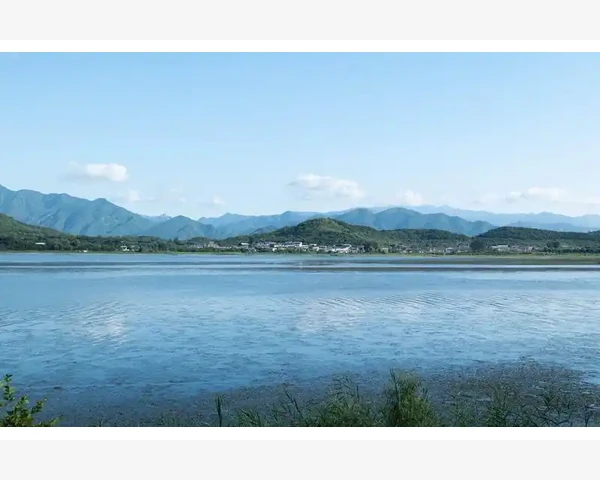 B2B平台选择核心指标对比分析_利用平台内的企业社区和内容营销建立信任