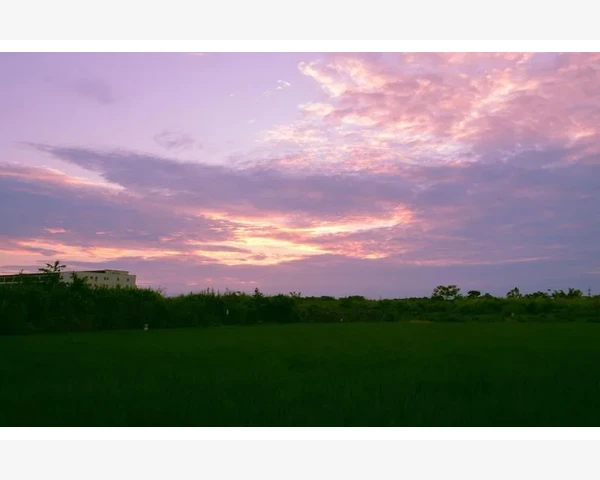 找准学校采购的关键决策链条_传统B2B模式在数字时代的生存法则
