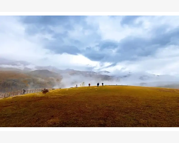 京东B2B业务模式到底是怎么回事_监控数据并灵活调整策略