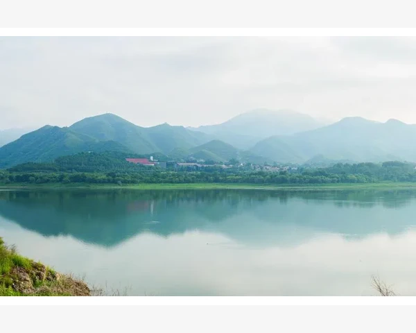 MT4交易成本异常显示的成因与排查思路_点差显示模式与浮动点差的混淆