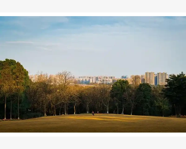 日日顺b2b物流如何改变企业供应链_日日顺b2b物流如何改变企业供应链